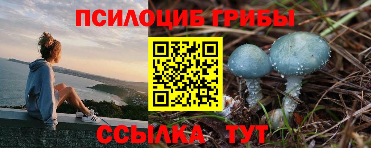 Галлюциногенные грибы Magic Shrooms Черногорск